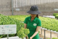 Doanh nghiệp nông sản sẵn sàng đón cơ hội hậu dịch bệnh