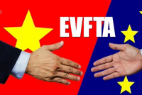 Quốc hội dự kiến sẽ họp phê chuẩn Hiệp định EVFTA vào ngày đầu tiên của Kỳ họp thứ 9, Quốc hội khóa XIV.