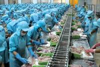 Tái cấu trúc Bianfishco: Những rủi ro pháp lý chưa được đánh giá đúng