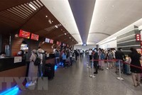 Ảnh minh họa. (Nguồn: TTXVN).