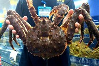 Cua hoàng đế Canada được bán tại cửa hàng hải sản trên đường Nguyễn Tri Phương, quận 10.