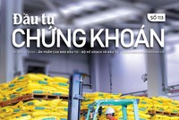 Đầu tư Chứng khoán số 113/2020