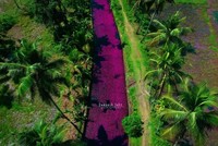 Ảnh nguồn: Deepesh John