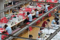 May Sông Hồng vững vàng trước thử thách