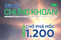 Đầu tư Chứng khoán số 9/2021