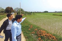 Môi giới dẫn khách hàng xem đất tại khu vực Đồng Trúc - Thạch Thất. Ảnh: Dũng Minh.