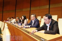 Đại biểu Quốc hội biểu quyết. (Ảnh: Phương Hoa/TTXVN).