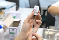 Vaccine Astra Zeneca. (Ảnh: Thành Đạt/TTXVN).