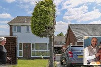 Người hàng xóm cục cằn: Cắt trụi một nửa cái cây bởi vì cảm thấy bị làm phiền