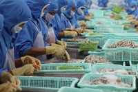 Nhu cầu về thực phẩm chế biến sẵn và đóng gói được dự báo sẽ tiếp tục tăng.