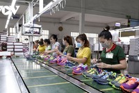 Nhiều DN ngành da giày phải đóng cửa hoặc hoạt động cầm chừng trong giãn cách.