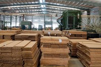 SJF đã đầu tư 542 tỷ đồng vào các công ty con, trong đó có các doanh nghiệp chuyên về tre gỗ.