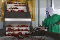 Tại Long An, có hơn 1.000 doanh nghiệp trên địa bàn đăng ký hoạt động theo phương án “3 tại chỗ”.