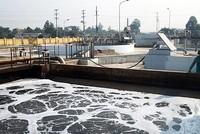 11 Hiệp hội đề nghị Thủ tướng xem xét bất cập tại dự thảo Nghị định hướng dẫn Luật Bảo vệ môi trường.