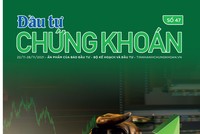 Đầu tư Chứng khoán số 47/2021