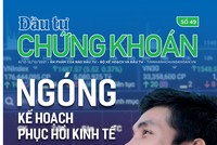 Đầu tư Chứng khoán số 49/2021