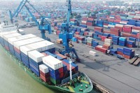 Cổ phiếu vận tải biển trên đầu sóng