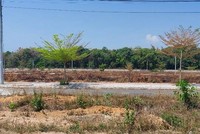 Nhiều khu đất phân lô, bán nền rồi bỏ hoang hóa, gây lãng phí tài nguyên đất đai ở tỉnh Kon Tum. Ảnh: P.V