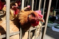 Ảnh minh họa: Reuters.