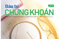 Đầu tư Chứng khoán số 19/2022
