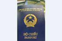 Cuốn hộ chiếu kiểu mới (màu xanh tím than) so với các cuốn hộ chiếu cũ màu xanh. (Ảnh: Mạnh Hùng/TTXVN).