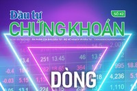 Đầu tư Chứng khoán số 42/2022