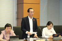 Đại biểu Trần Hoàng Ngân phát biểu tại tổ - (Ảnh: Duy Linh).