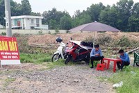 Ảnh minh họa.