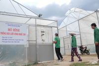 Ninh Thuận dự kiến thu hút 22 nhân lực chất lượng cao làm việc trong lĩnh vực nông nghiệp ứng dụng công nghệ cao. Ảnh minh họa.