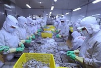 Hàng Việt tiến mạnh sang Canada nhờ CPTPP