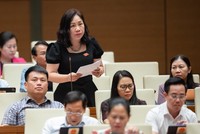 Đại biểu Trần Thị Hiền (Hà Nam) phát biểu tại hội trường.