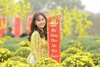 Lịch nghỉ Tết Nguyên đán 2024: Đề xuất cán bộ, công chức nghỉ 7 ngày