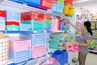 Năm 2015, Nhựa Việt Nam đã có lãi