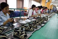  Dệt may và da giày: Cơ hội bứt phá từ TPP 