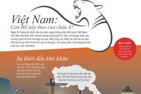 [infoGraphics] Chặng đường phát triển của thị trường bất động sản Việt Nam
