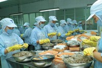 Kháng sinh là câu chuyện dai dẳng với thủy sản nhiều năm nay. Ảnh: Chí Cường