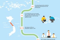 [Infographic] Ba tháng điều tra nguyên nhân cá chết hàng loạt