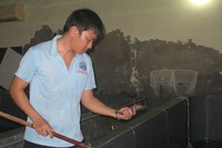 Công nhân một cơ sở sản xuất tôm giống đang kiểm tra chất lượng tôm 3 ngày tuổi.