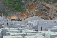 Giá cổ phiếu giảm bất ngờ, ban lãnh đạo SPI ra thông cáo cổ đông