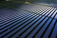 Sao Mai Solar - Hoa mặt trời trên dãy Thất Sơn.