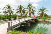 Cầu xây dựng mới được Khang Điền tài trợ 100% chi phí