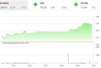 Giao dịch chứng khoán chiều 24/11: Cổ phiếu vua kéo VN-Index lập đỉnh mọi thời đại