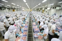 CTCP Vinam thông báo chào bán cổ phiếu ra công chúng