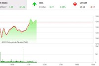 Giao dịch chứng khoán phiên sáng 31/5: VN-Index đứng vững, nhóm FLC tiếp tục khởi sắc