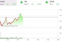Giao dịch chứng khoán phiên sáng 14/6: Dầu khí, ngân hàng kéo VN-Index trở lại, cổ phiếu thép tiếp tục lùi sâu