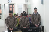 Rao bán giấy tờ giả trên facebook, 4 thanh niên nhận án tù