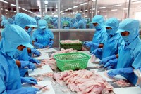 Vĩnh Hoàn (VHC) thành lập công ty xuất nhập khẩu sản phẩm thuỷ hải sản tại Singapore