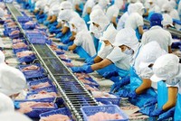 Vĩnh Hoàn (VHC) giao đất cho công ty con xây dựng nhà máy chế biến thức ăn thủy sản