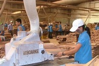 Phú Tài (PTB) lên kế hoạch chào bán cổ phiếu huy động vốn