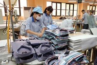Gilimex (GIL) bị nhắc nhở chậm nộp Báo cáo tài chính quý II/2025